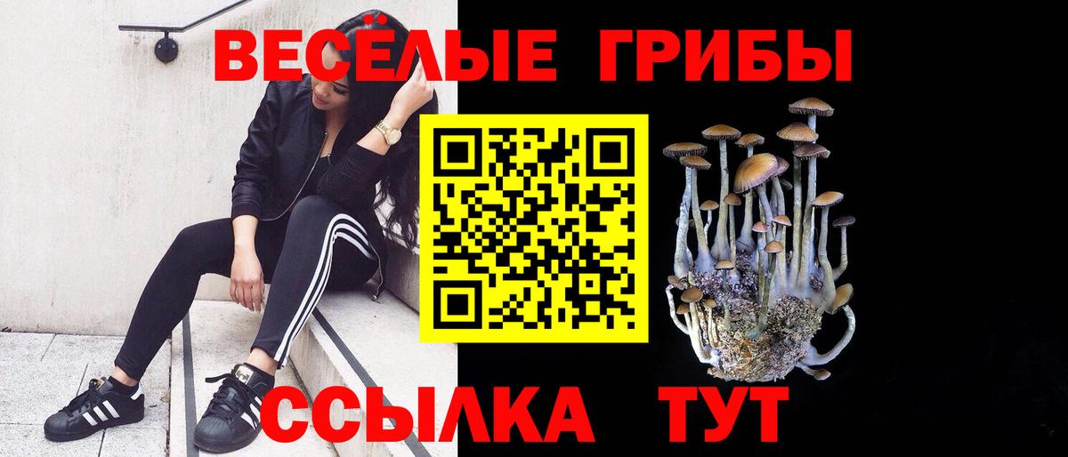 Галлюциногенные грибы мухоморы  Вход с VPN  Урус-Мартан 